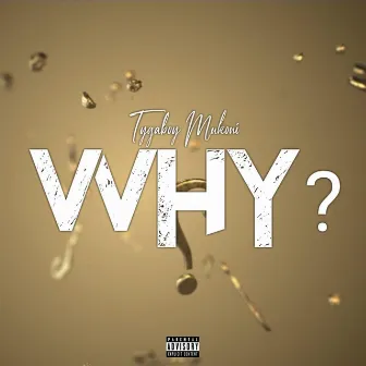 Why by Tygaboy Mukoni