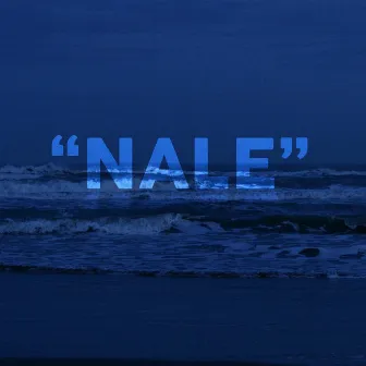 Nale by ADRIANO