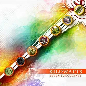 Seven Succulents by KiloWatts