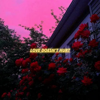 Love Doesn't Hurt by LRN Slime