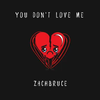 You Don't Love me by Zach Bruce