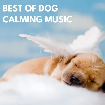 Best of Dog Calming Music by Dog Calming Music