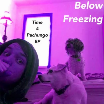 Pachungo Time by Below Freezing