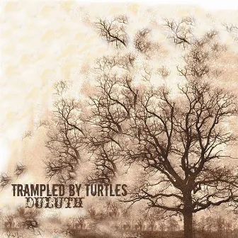 Duluth by Trampled by Turtles