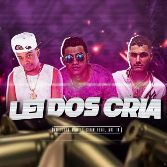 Lei dos Cria (Brega Funk) by Daniel Stom