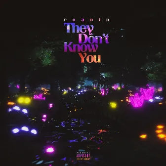 They Don't Know You by Roanin