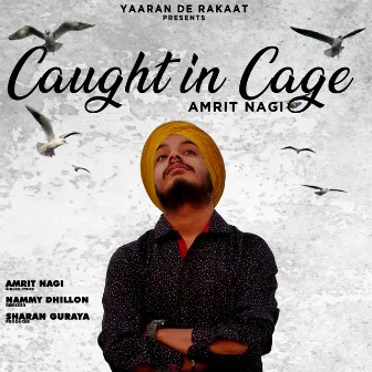 Caught in Cage by Amrit Nagi