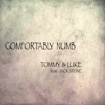 Comfortably Numb by Tommy & Luke