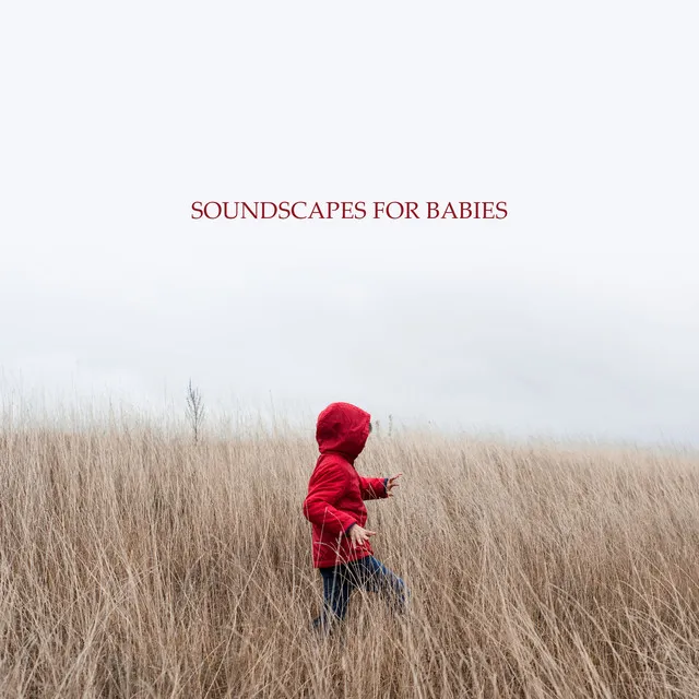 Soundscapes for Babies: Piano Music & Sounds of Nature