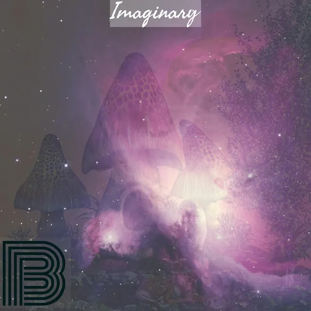 Imaginary