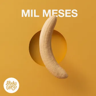 Mil Meses (Acústico) by Arnau Griso