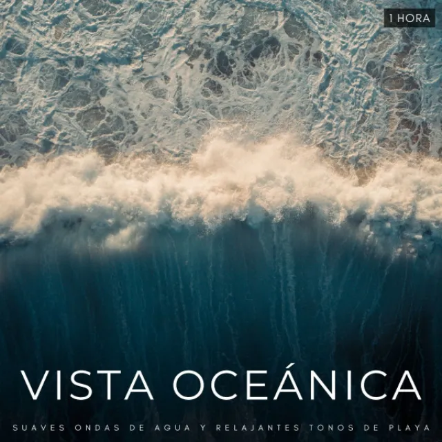 Vista Oceánica: Suaves Ondas De Agua y Relajantes Tonos De Playa - 1 Hora