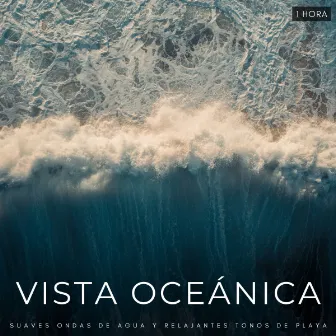 Vista Oceánica: Suaves Ondas De Agua y Relajantes Tonos De Playa - 1 Hora by Unknown Artist