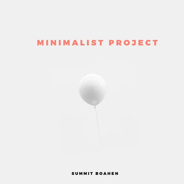 The Minimalist Project Continuous Mix.