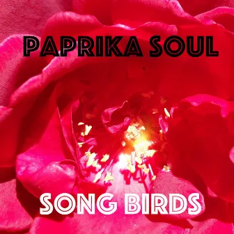 Song Birds by Paprika Soul