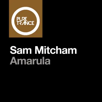 Amarula (Club Mix) by Sam Mitcham