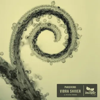 Vibra Shiver by PhaseVerbs