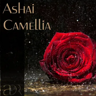 Camellia by Ashai