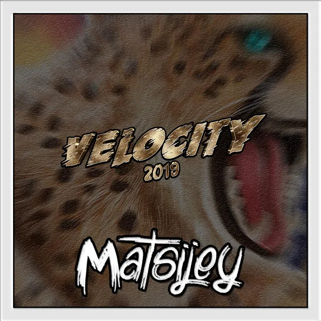 Velocity 2019