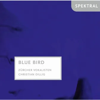 Rachmaninoff & Poulenc: Blue Bird by Christian Dillig