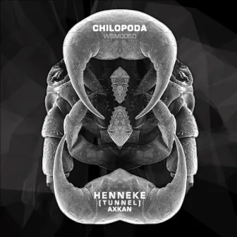 Chilopoda by Henneke