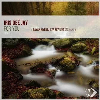 For You (Remixes, Pt. 2) by Iris Dee Jay