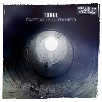 Partially Untamed by Torul