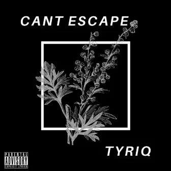 Can't Escape by Tyriq