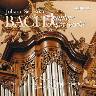 Johann Sebastian Bach: Complete Organ Works played on Silbermann organs Vol. 14 by Gerhard Gnann