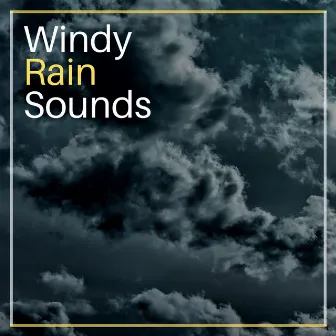 Windy Rain Sounds: White Noise Ambient for Anxiety & Insomnia by Paradise Eden