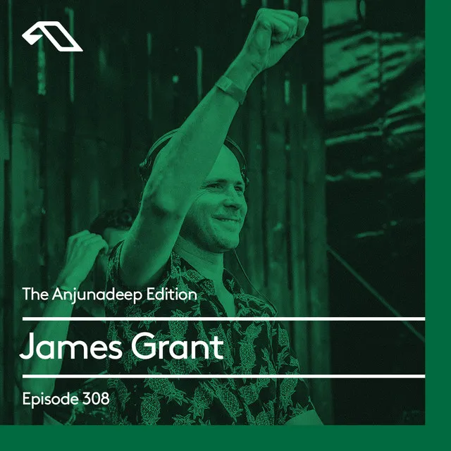 The Anjunadeep Edition 308