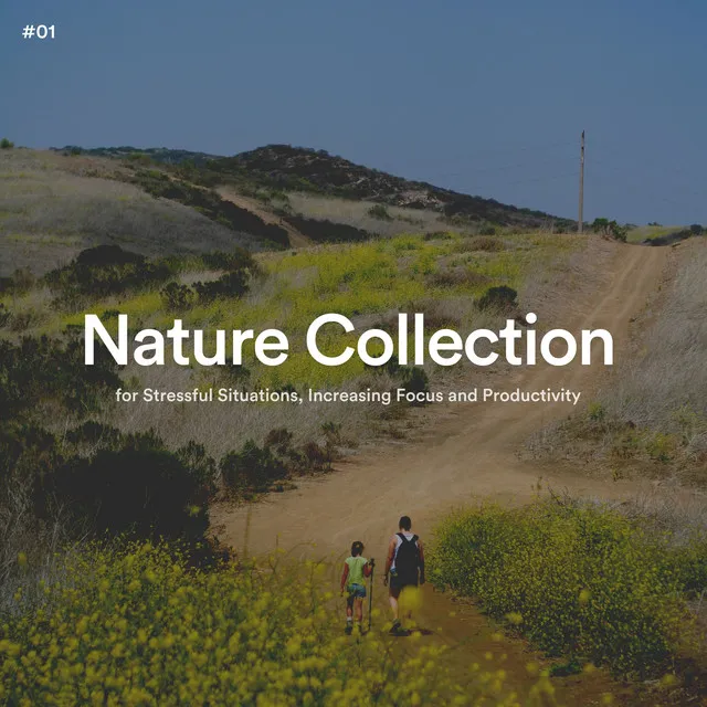 Nature Collection for Stressful Situations, Increasing Focus and Productivity, Pt. 39