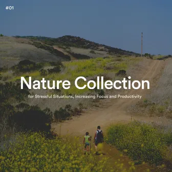 #01 Nature Collection for Stressful Situations, Increasing Focus and Productivity by Wonderful Escape