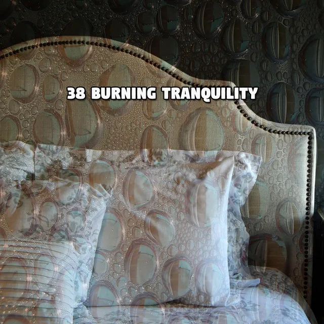 38 Burning Tranquility