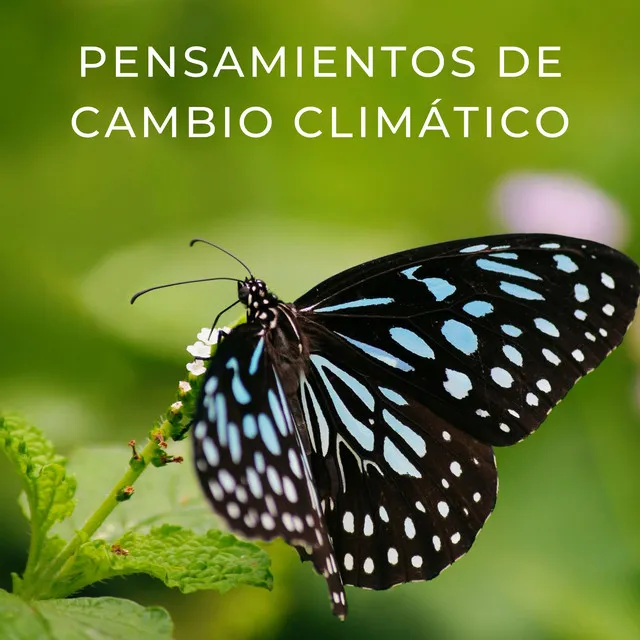 Pensamientos De Cambio Climático