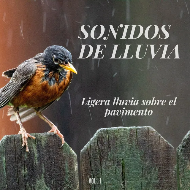 Sonidos de lluvia: Ligera lluvia sobre el pavimento Vol.1