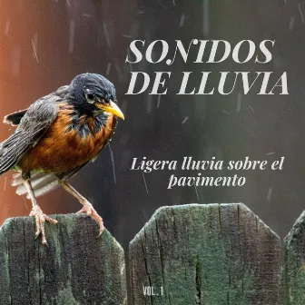 Sonidos de lluvia: Ligera lluvia sobre el pavimento Vol.1 by Avenida fría