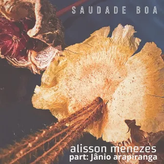 Saudade Boa by Alisson Menezes