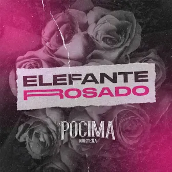 Elefante Rosado by La Pocima Norteña