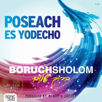 Poseach Es Yodecho by Boruch Sholom