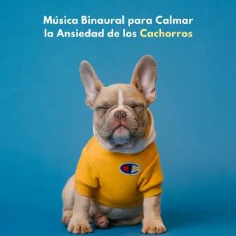 Música Binaural Para Calmar La Ansiedad De Los Cachorros by Perro Total Relax