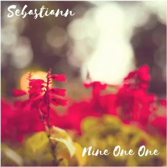 Nine One One by Sebastiann