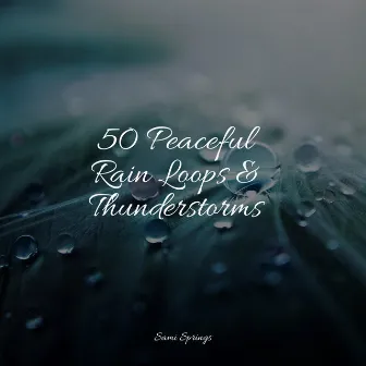 50 Peaceful Rain Loops & Thunderstorms by Heavy Rain Sounds