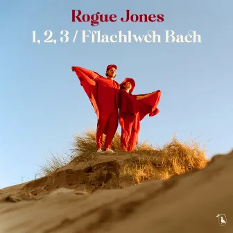 1,2,3 / Fflachlwch Bach (Bach) by Rogue Jones