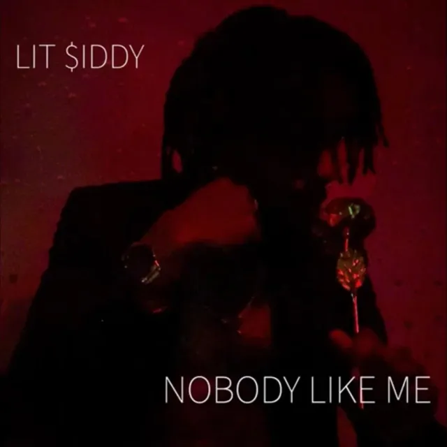 Nobody Like Me