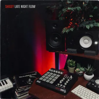 Late Night Flow by Shiggy