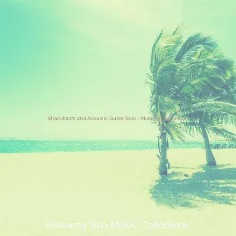 Shakuhachi and Acoustic Guitar Solo - Music for Spa Hours by Relaxing Spa Music Collections