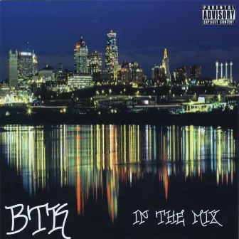 In the Mix by BTK