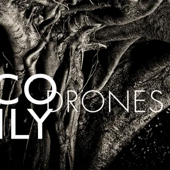 Drones by Nico Muhly