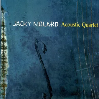 Acoustic Quartet by Jacky Molard